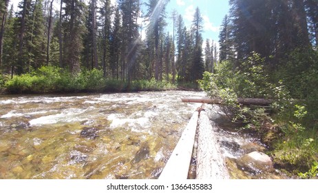 Sunshine at the River