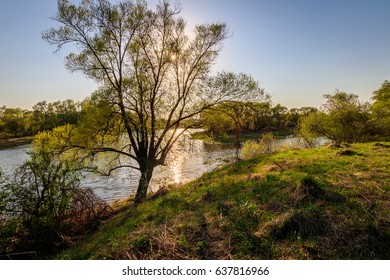 Sunshine at river with willows in spring-summer season. Landscape. - Shutterstock ID 637816966