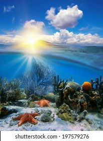 Sunshine In The Sky And Coral Reef With Sea Star Underwater, Caribbean Sea