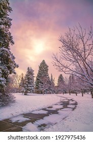 Sunshine Sky Over A Winter Park Path