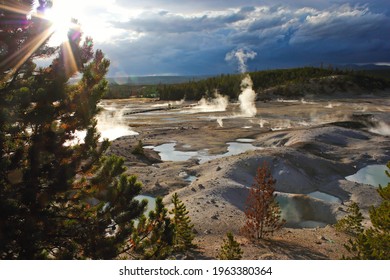 Sunshine Through Pine Tree In Yellowstone Caldera, US