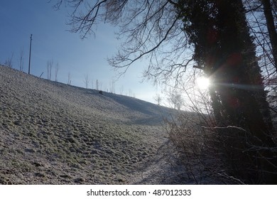 Sunshine in winter
