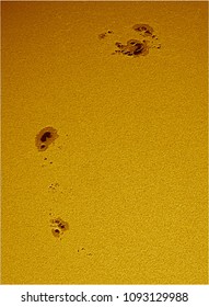 Sunspots On Sun Photosphere
