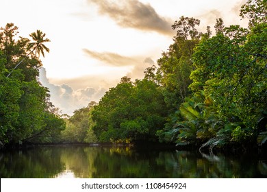 Sunsrise over rainforest and canal in the Aru island , Maluku archipelago, Papua, Indonesia