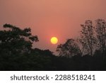 SunTone netaryal begrund  Bangladesh Hill 