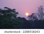 SunTone netaryal begrund  Bangladesh Hill 