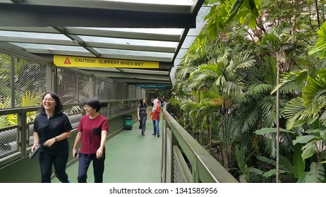 Sunway, Kuala Lumpur /Malaysia - February 28, 2018: Link Bridge From Sunway University To Sunway Pyramid Shopping Mall. The 10 Minutes Of Walk On The Bridge Gives A Scenic Experience To Visitors.