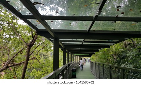 Sunway, Kuala Lumpur /Malaysia - February 28, 2018: Link Bridge From Sunway University To Sunway Pyramid Shopping Mall. The 10 Minutes Of Walk On The Bridge Gives A Scenic Experience To Visitors.