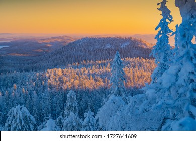 Suomi Winter Landscape Koli National Park