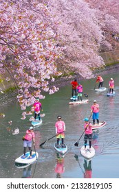 SUP (stand-up Paddle Board) Okakawa In Yokohama City Minami Ward