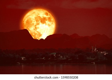 Super Beaver Blood Moon Back On Stock Photo 1598550208 | Shutterstock