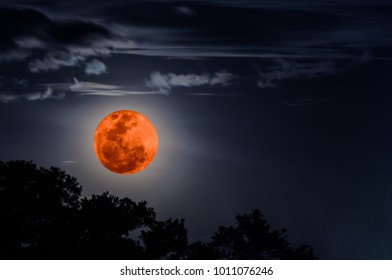 Super Blue Blood Moon