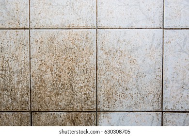 Super Dirty Washroom Floor And Wall With Tile, Full Of Heavy Stains And Muddy Black Mold