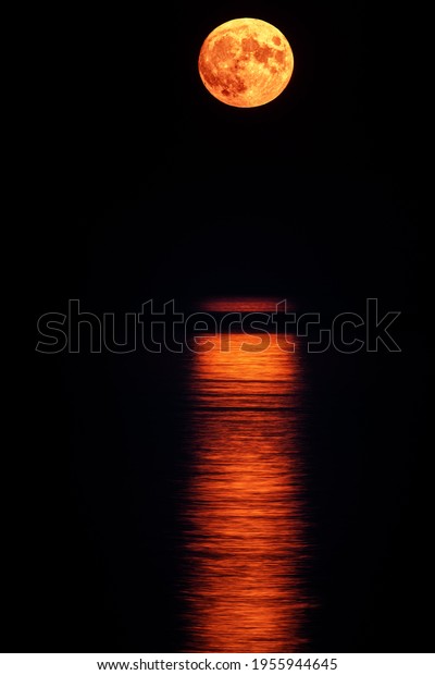 Super full blood moon and moon light over the
sea. Full red moon with reflection in water with details of the
lunar surface.