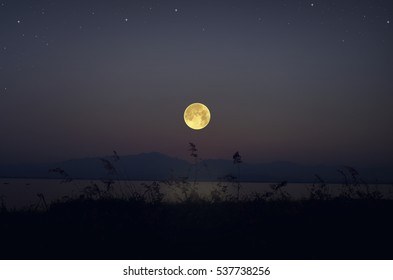 Super Full Moon Over The Lake And Meadow