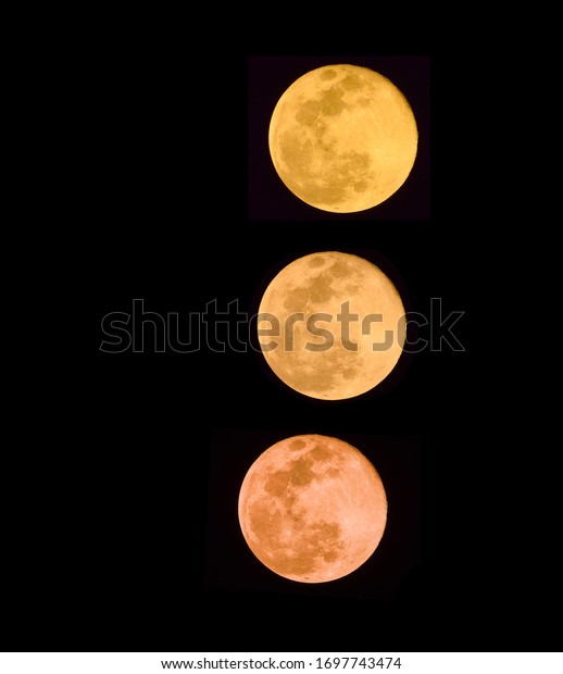 super full pink\
moon and silhouette  on\
sky
