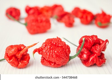 Super Hot Pepper Carolina Reaper