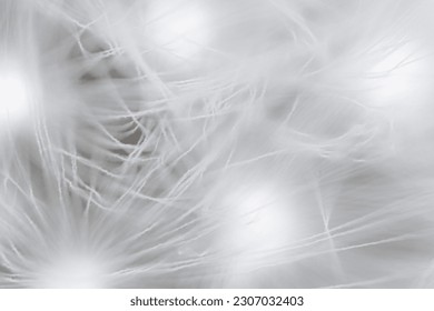 Super macro close-up of dandelion fluff. Abstract close-up of dandelion seeds background. Macro shot of detailed dandelion flower seed in natural environment. Soft selective focus - Shutterstock ID 2307032403