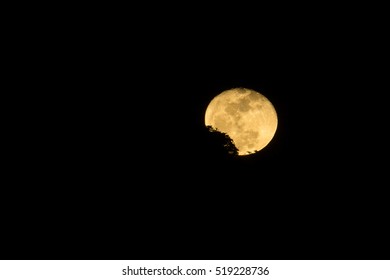 Super Moon back up the mountain with trees.
