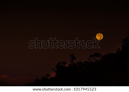 Super moon rising over forested mountains 