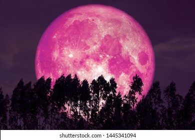 Pink Moon Images Stock Photos Vectors Shutterstock