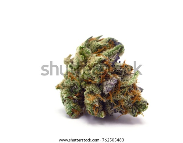 Super Sherb Cannabis Strain Accented By Royalty Free Stock Image