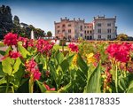 Superb summer view of Miramare Castle with blooming red tulip flowers on foreground. Impressive morning scene of Italy, Europe. Traveling concept background.