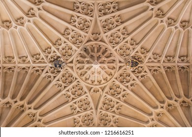 Superb vault structure of the church