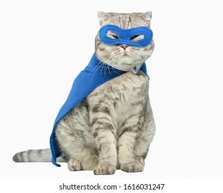 superhero cat, Scottish Whiskas with a blue cloak and mask. The concept of a superhero, super cat, leader.poisoned or cut out on a white background for design.