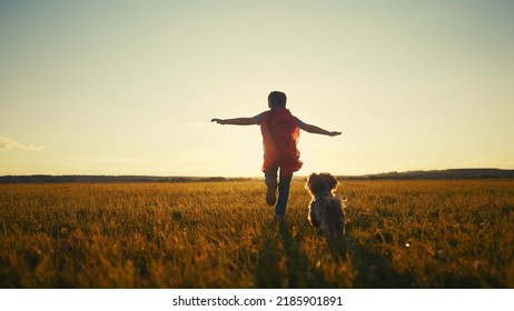 superhero and dog. little boy running across the field in a superhero costume with a red cape silhouette at sunset. happy family kid concept. baby superhero. little boy in sunset dream run through - Shutterstock ID 2185901891