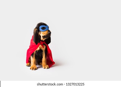 Superhero Dog In Red Cape