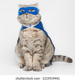 superhero, scotch whiskey with a blue cloak and mask. The concept of a superhero, super cat, leader. On a white background.Macho, Isolate