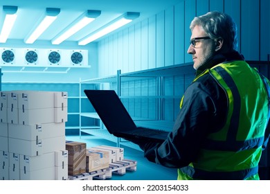 Supermarket Warehouse Worker. Refrigerator Store With Boxes. Man With Laptop Stands In Industrial Refrigerator. Big Supermarket Refrigerator With Boxes For Sure. Gray-haired Human In Reflective Vest.