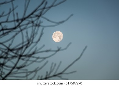 Supermoon On The Next Morning In UK