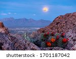 supermoon over las cruces from picacho peak 