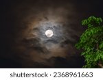 A Supermoon is sighted in Singapore on 30 Sep 2023 at 9.54 PM above C K Tang Mall,  Orchard Road on a cloudy night. Supermoons are bigger and brighter compared to other moons.