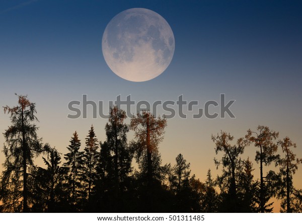 La Super Lune La Pleine Lune Photo De Stock Modifiable