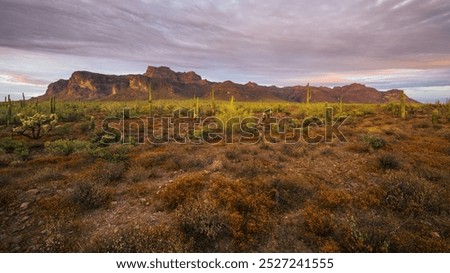 Superstition Mountains at sunset in Apache Junction, Arizona.