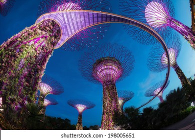 The Supertree At Gardens By The Bay