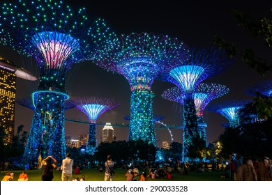 Supertree Grove, Gardens By The Bay, Singapore