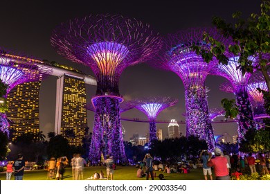 Supertree Grove, Gardens By The Bay, Singapore