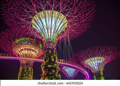 Supertree In Singapore In Night Time. Supertree Is Famous Spot For Traveler In Singapore City. It's Weird Building Covered By Plant. Supertree Will Be Most Beautiful In Night Time. When The Light On.