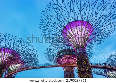 Supertrees at Gardens By The Bay, Singapore, at dusk