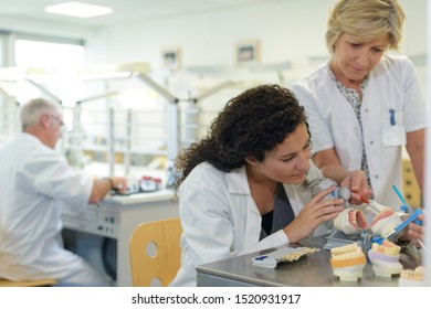 234 Trainee Dental Nurse Stock Photos Images Photography Shutterstock   Supervisor Guiding Trainee Dental Technician 260nw 1520931917 