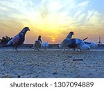 supper at sunset