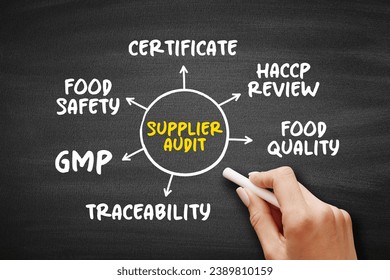Supplier Audit is a tailor-made programme that assesses a supplier's quality systems, mind map concept for presentations and reports
