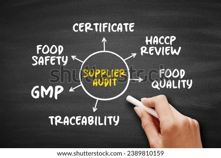 Supplier Audit is a tailor-made programme that assesses a supplier's quality systems, mind map concept for presentations and reports