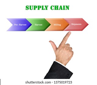 Supply Chain In Agriculture