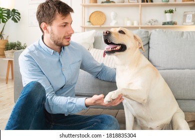 Support And Care Concept. Portrait of man teaching golden retriever command how to give a paw sitting on floor in living room. Guy hugging his domestic animal indoors at home. Friendship with puppy - Shutterstock ID 1818835304