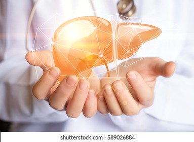 Support healthy liver concept design banner .